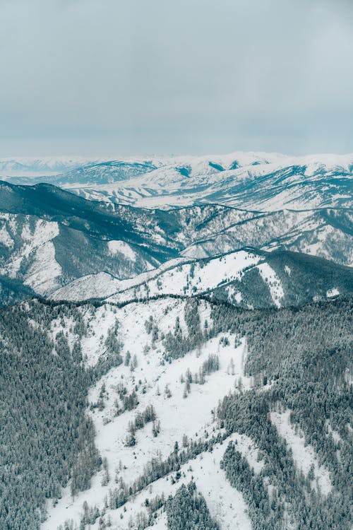 有关冬季, 垂直拍摄, 大雪覆盖的免费素材图片