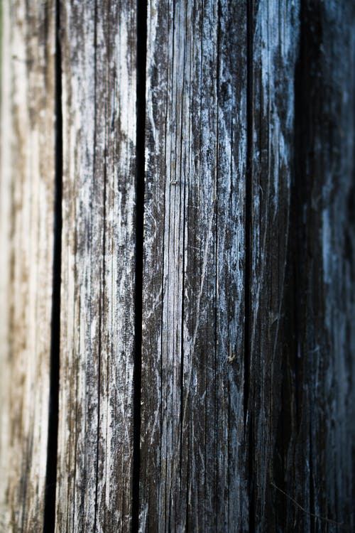 有关公告板, 原本, 垂直拍摄的免费素材图片