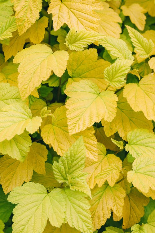 有关圖案, 垂直拍摄, 工厂的免费素材图片