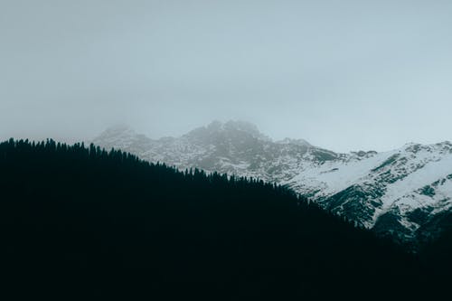 有关冬季, 大雪覆盖, 天性的免费素材图片