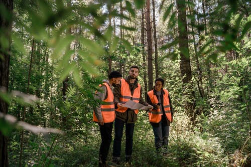 有关伸出援助之手, 合作, 團隊合作的免费素材图片