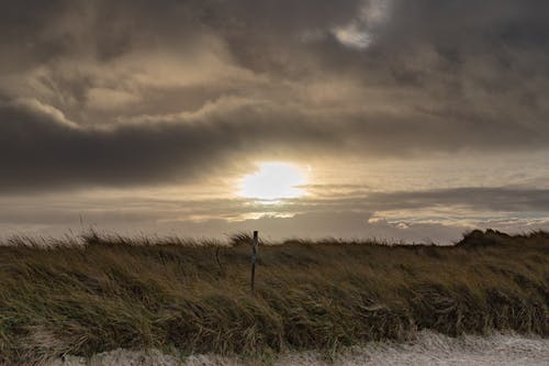 多云的天空下的绿草田 · 免费素材图片