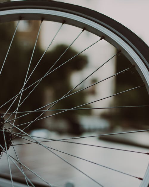 有关垂直拍摄, 景深, 特写的免费素材图片