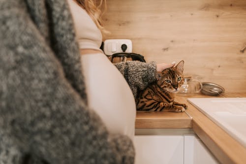 有关女人, 宝贝肚子, 家畜的免费素材图片