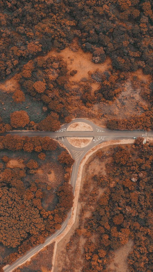 有关垂直拍摄, 從上面, 樹木的免费素材图片