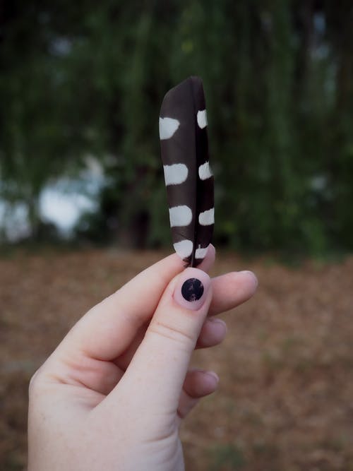 有关修剪的指甲, 垂直拍摄, 点的免费素材图片