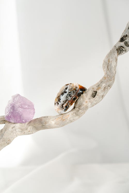 有关乾的, 垂直拍摄, 宝石的免费素材图片