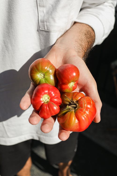 有关垂直的, 手, 握住的免费素材图片