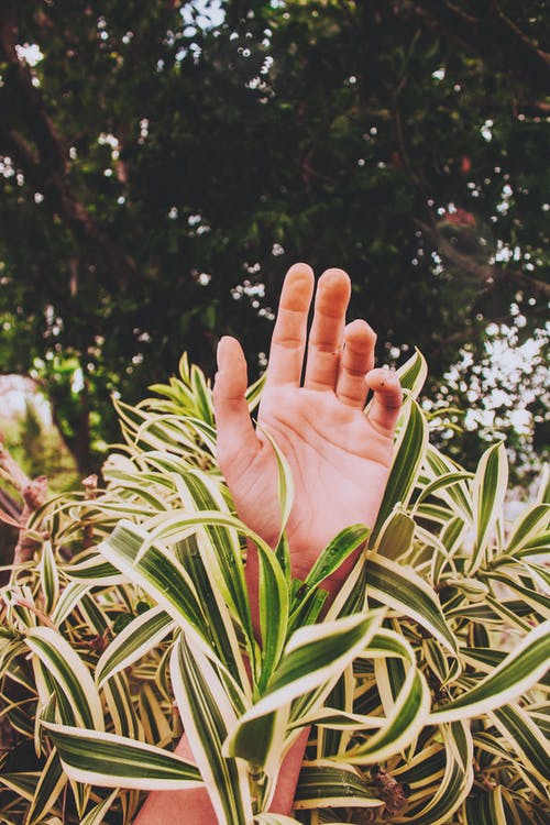 有关人, 圖案, 垂直拍摄的免费素材图片