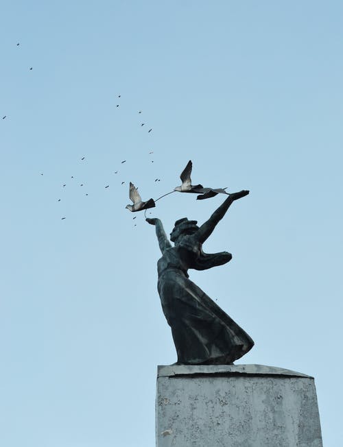 有关低角度拍攝, 垂直拍摄, 灰色混凝土的免费素材图片