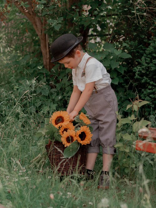 有关向日葵, 垂直拍摄, 年輕的免费素材图片