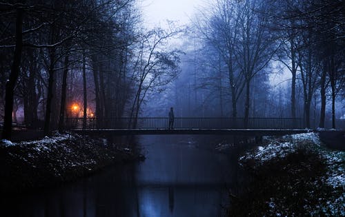 有关不清楚, 人行天橋, 光秃秃的树木的免费素材图片