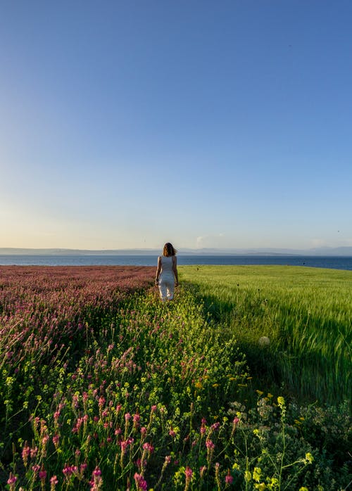 有关人, 地平線, 垂直拍摄的免费素材图片