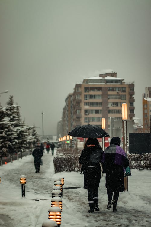 有关人行道, 冬季, 垂直拍摄的免费素材图片