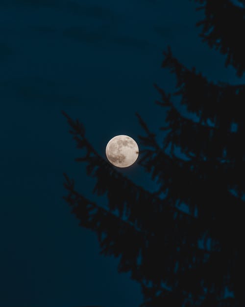 有关在晚上, 垂直拍摄, 天空的免费素材图片