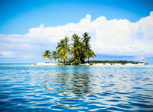 有关島, 棕櫚樹, 海的免费素材图片
