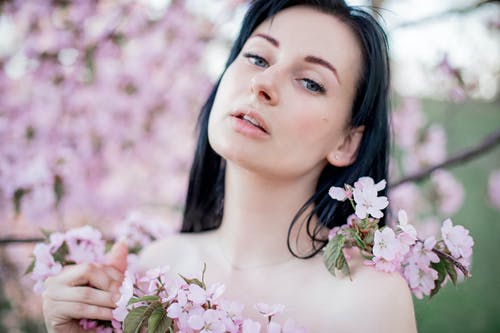 有关公園, 出现, 分公司的免费素材图片