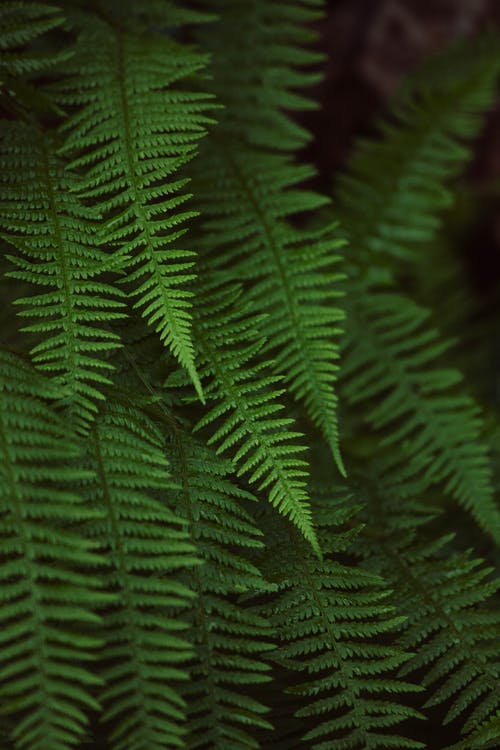 有关圖案, 垂直拍摄, 工厂的免费素材图片