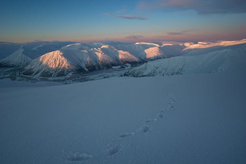 有关冬季, 冰河, 冷的免费素材图片