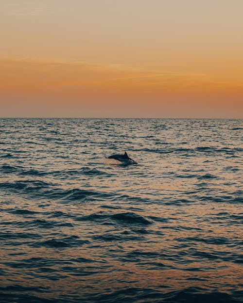 有关日落美景, 海, 海洋的免费素材图片