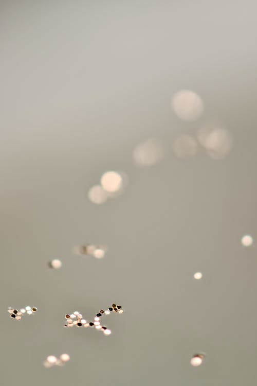 有关位, 垂直拍摄, 壁紙的免费素材图片