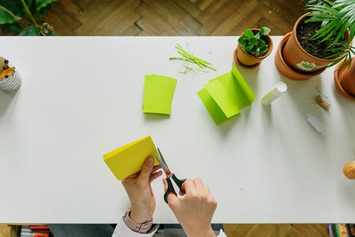 有关俯視圖, 切割, 剪刀的免费素材图片