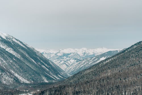 有关冬季, 大雪覆盖, 天性的免费素材图片