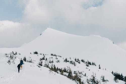 有关冬季, 大雪覆盖, 天性的免费素材图片