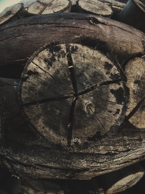 来自 Guilherme 的免费素材图片 · Pexels