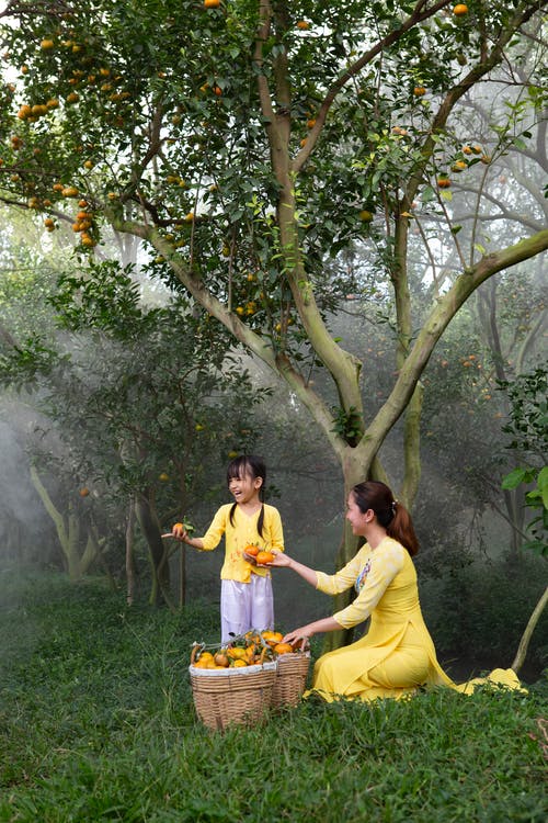 有关垂直拍摄, 快樂, 握住的免费素材图片