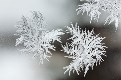 有关冷冰冰, 冷冰的, 凍結的的免费素材图片