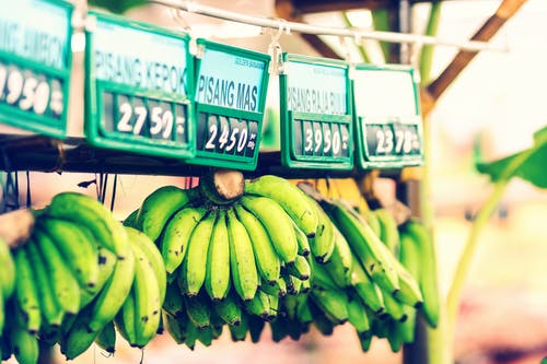 挂有价格标签的绿色香蕉 · 免费素材图片