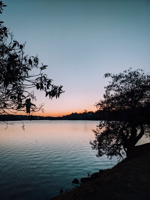 有关剪影, 垂直的, 天性的免费素材图片