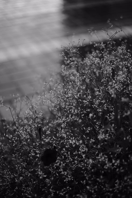 有关垂直拍摄, 壞心情, 工厂的免费素材图片