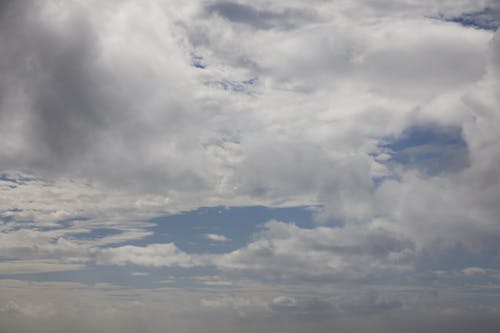 有关天空, 毛茸茸的, 氣氛的免费素材图片