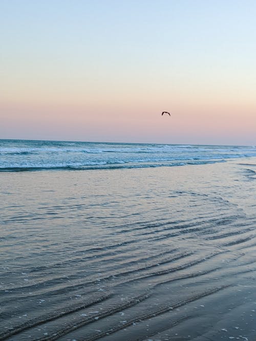 有关地平線, 垂直拍摄, 戶外的免费素材图片