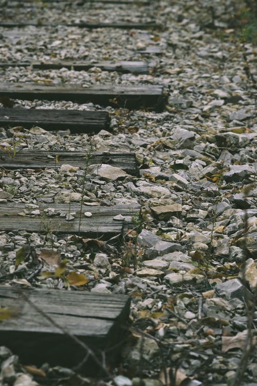 有关原本, 地面, 垂直拍摄的免费素材图片