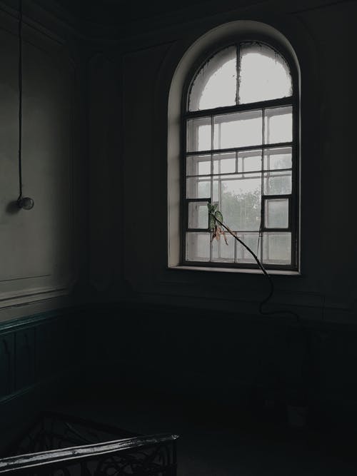 有关剪影, 垂直拍摄, 室內的免费素材图片