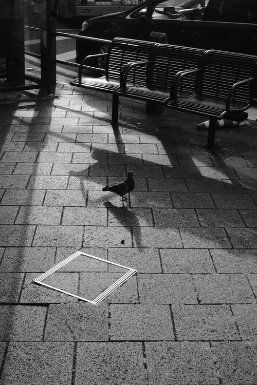 有关人行道, 城市, 廣場的免费素材图片