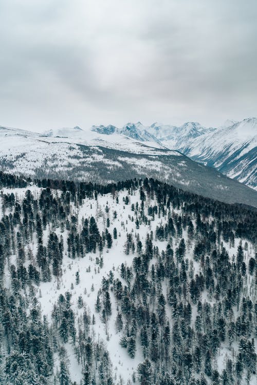 有关冬季, 垂直拍摄, 大雪覆盖的免费素材图片