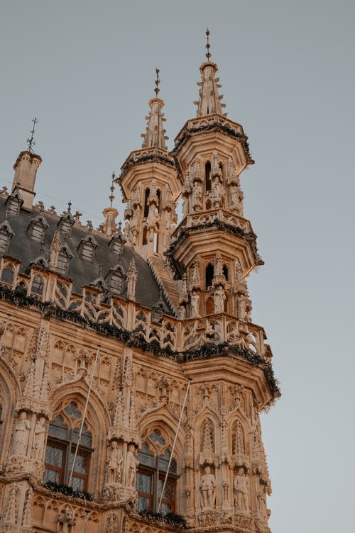 有关低角度拍摄, 哥德式, 垂直拍摄的免费素材图片