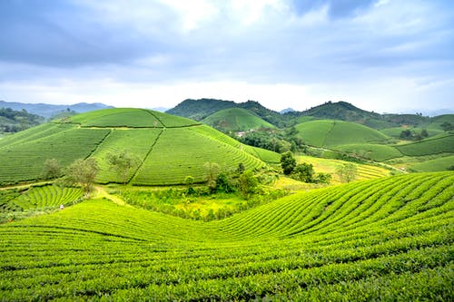 有关丘陵, 农业用地, 天性的免费素材图片