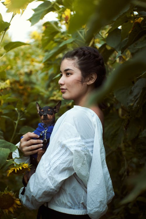 有关側面圖, 向日葵, 垂直拍摄的免费素材图片