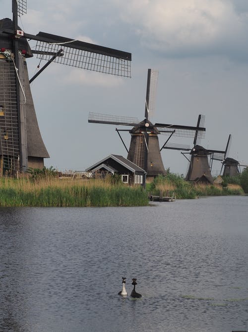 有关垂直拍摄, 天性, 天空的免费素材图片