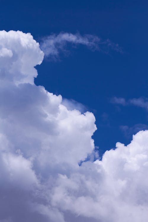 有关垂直拍摄, 天堂, 毛茸茸的的免费素材图片