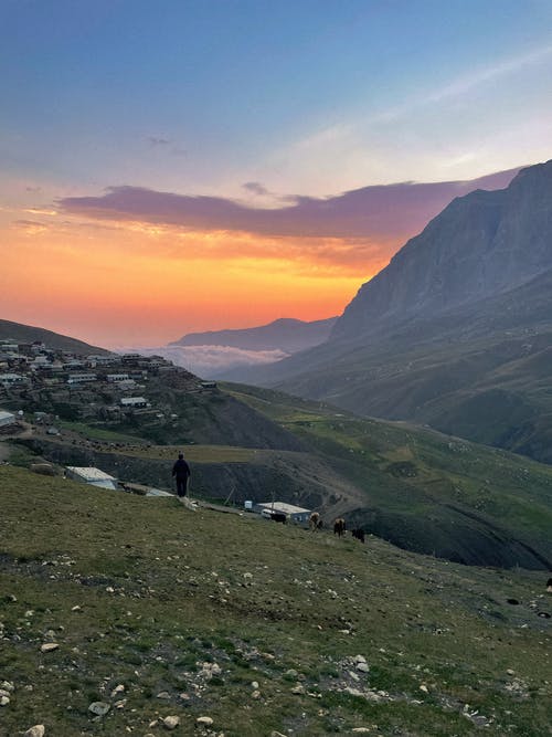 有关人, 垂直拍摄, 天性的免费素材图片