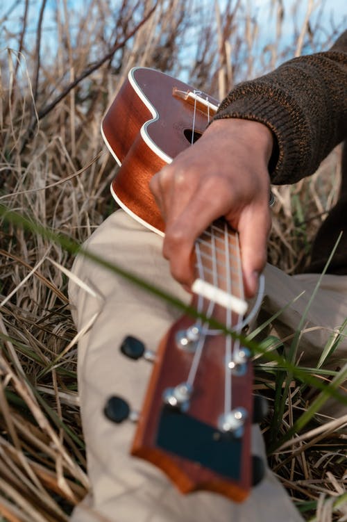 有关accoustic, 四弦琴, 浅焦点的免费素材图片