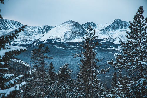 有关冬季, 大雪覆盖, 天性的免费素材图片