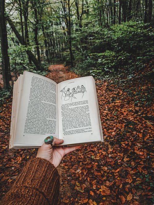 有关垂直拍摄, 握住, 文獻的免费素材图片