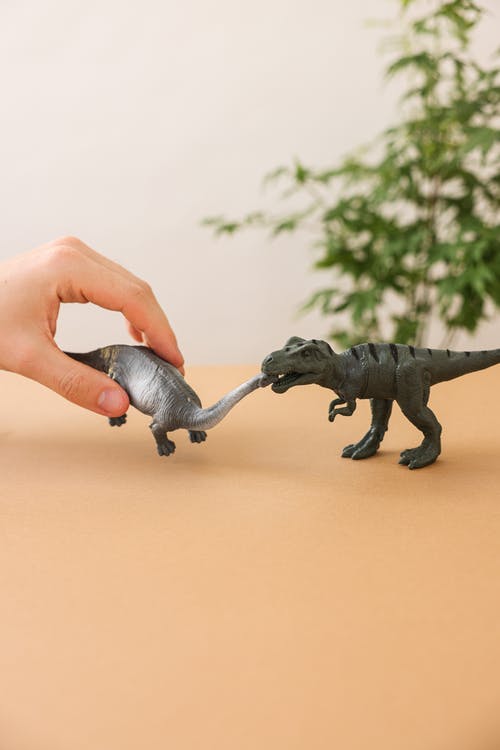 有关動物, 垂直拍摄, 恐龙的免费素材图片